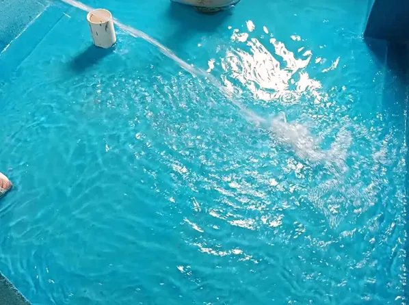  Water-Based and Environmentally Friendly